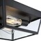 Westinghouse Fixture Ceiling Outdr Flush-Mount 60W 2-Light Peterson 12In Txt, Black Clear Glass 6121900 - alternate 8